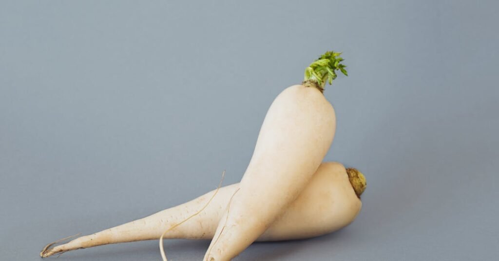 秋天吃什么最养生?中医视角下的秋季进补指南 4 A pair of fresh daikon radishes on a grey background, showcasing natural texture and form.