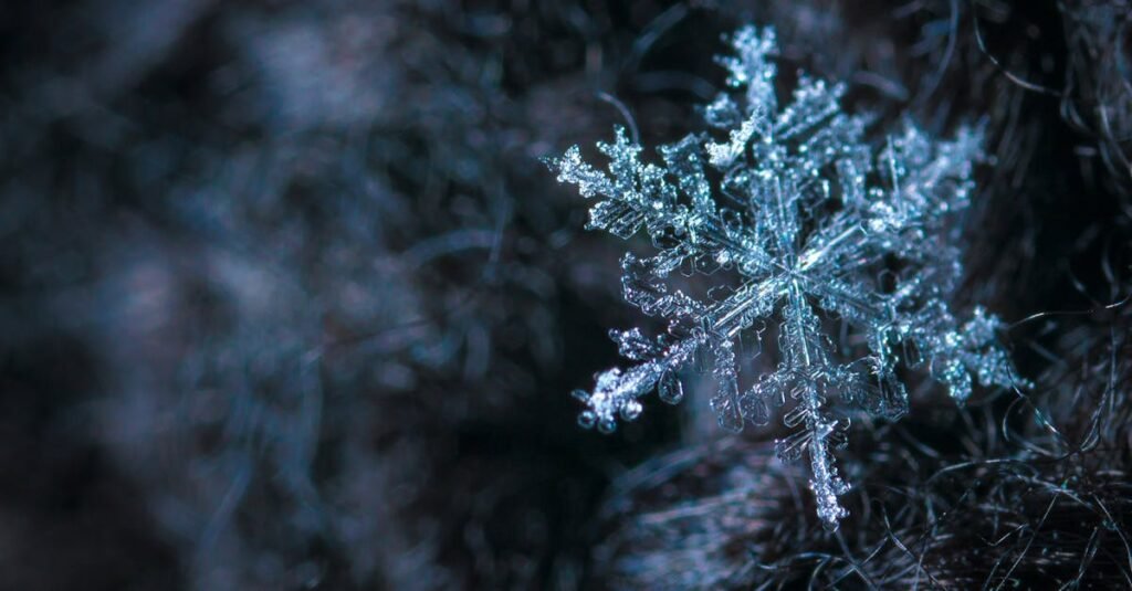Intricate close-up of a snowflake showcasing its frosty crystalline structure in a winter setting.